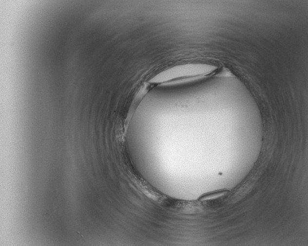 X0000080150384200612302134