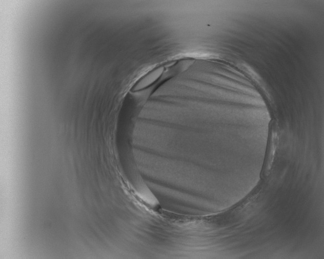 X0000080150385200612302133