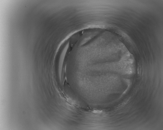 X0000080150388200612302133