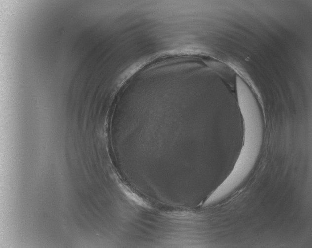 X0000080150389200612302133