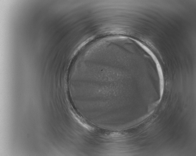 X0000080150390200612302133