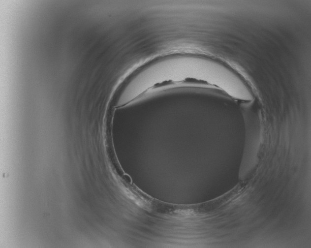 X0000080150391200612302133