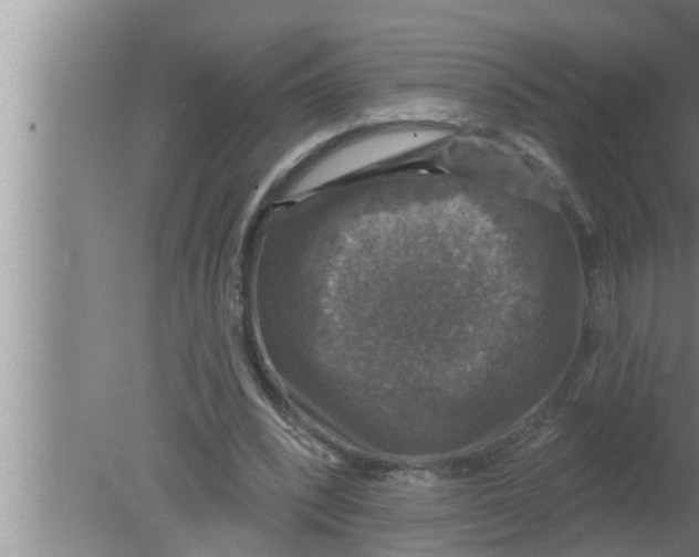 X0000080150392200612302133