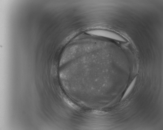 X0000080150393200612302133