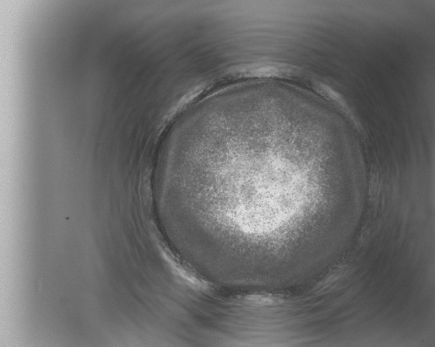 X0000080150394200612302133