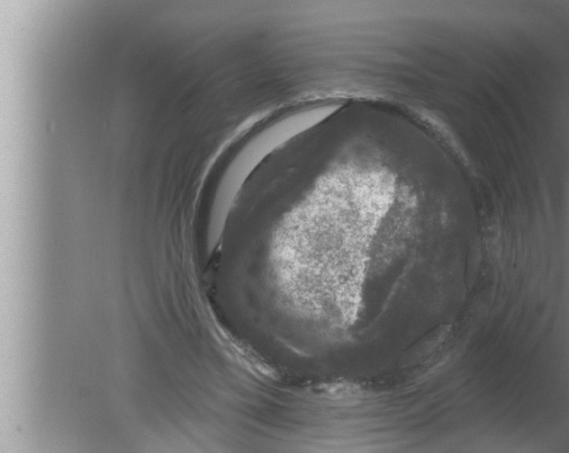 X0000080150395200612302133