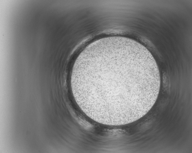 X0000080150396200612302133