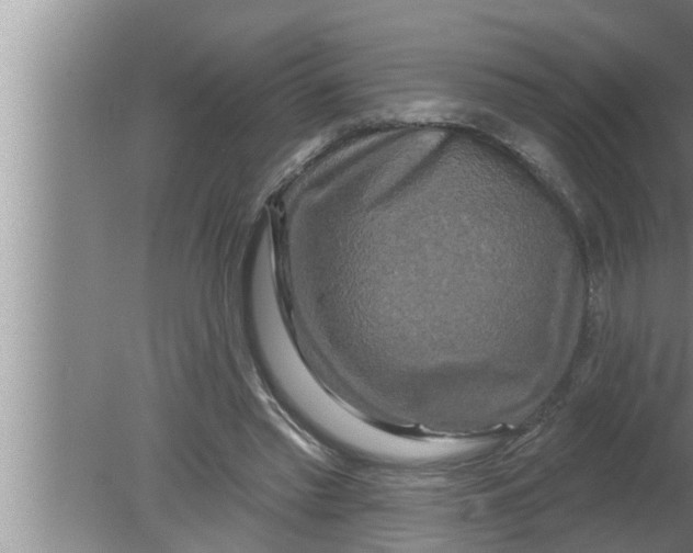 X0000080150397200612302133