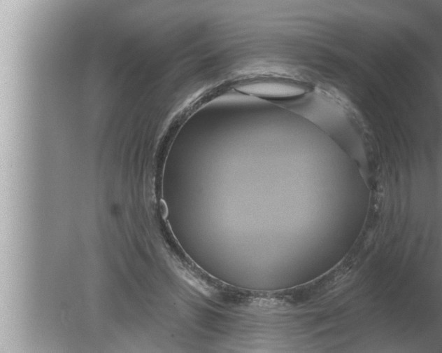 X0000080150399200612302133