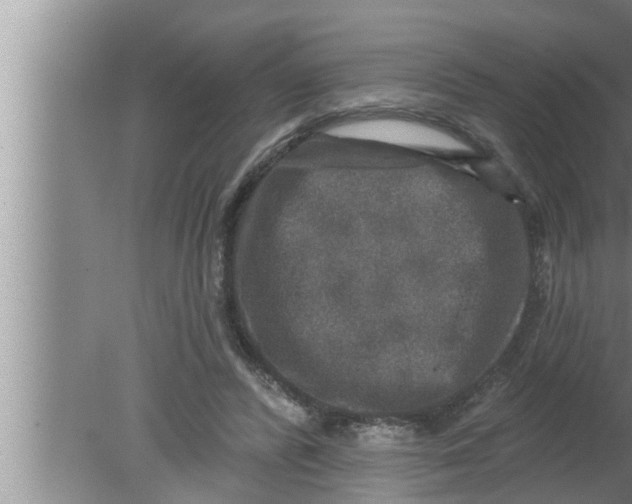 X0000080150400200612302133