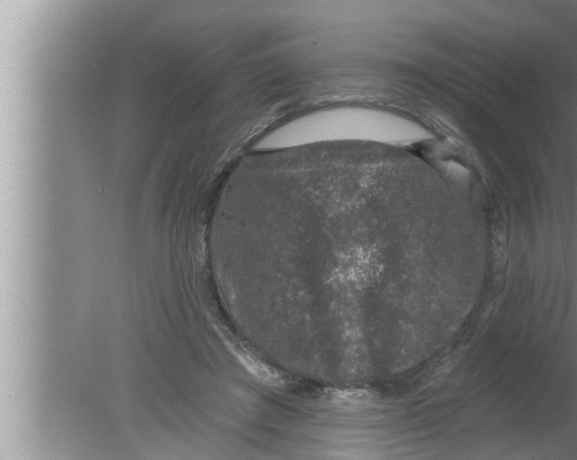 X0000080150401200612302133