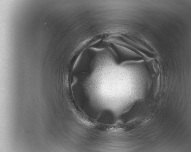 X0000080150403200612302133