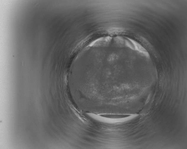 X0000080150405200612302133