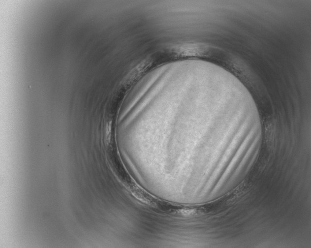 X0000080150406200612302133