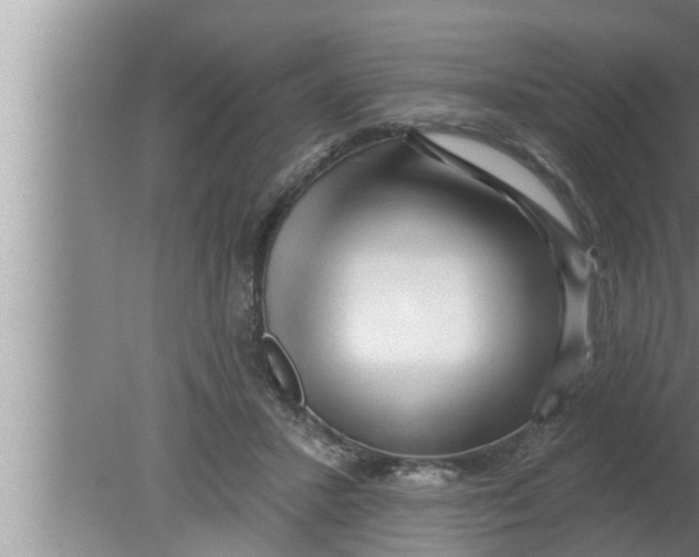 X0000080150407200612302133