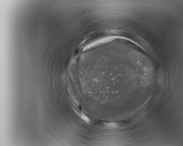 X0000080150409200612302133