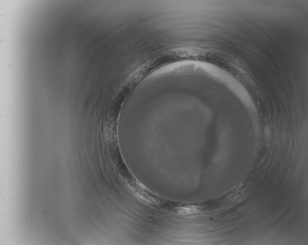 X0000080150411200612302133