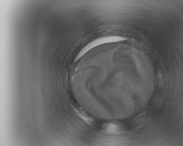 X0000080150412200612302133