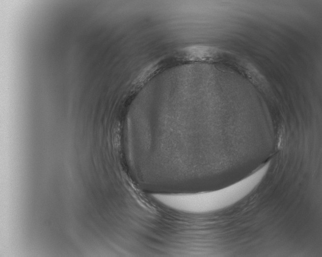 X0000080150413200612302133