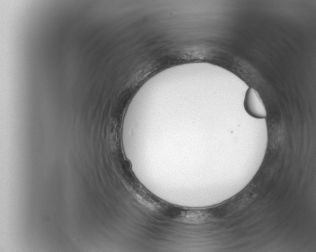 X0000080150414200612302133