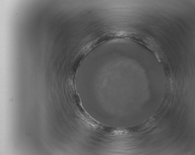 X0000080150415200612302133