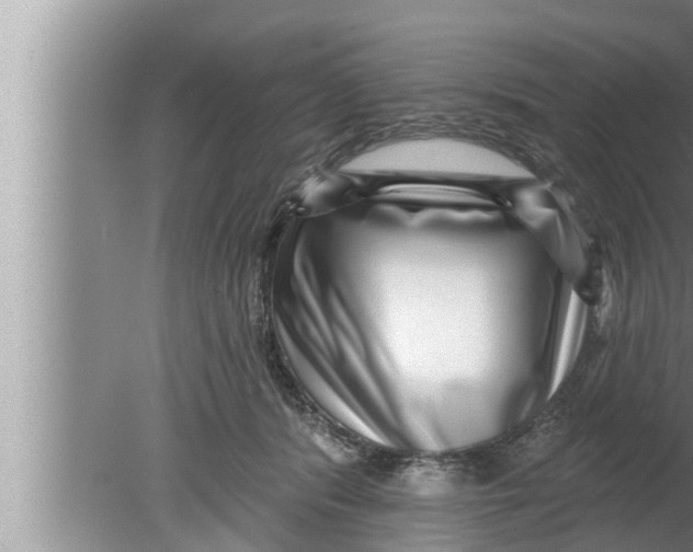 X0000080150416200612302133