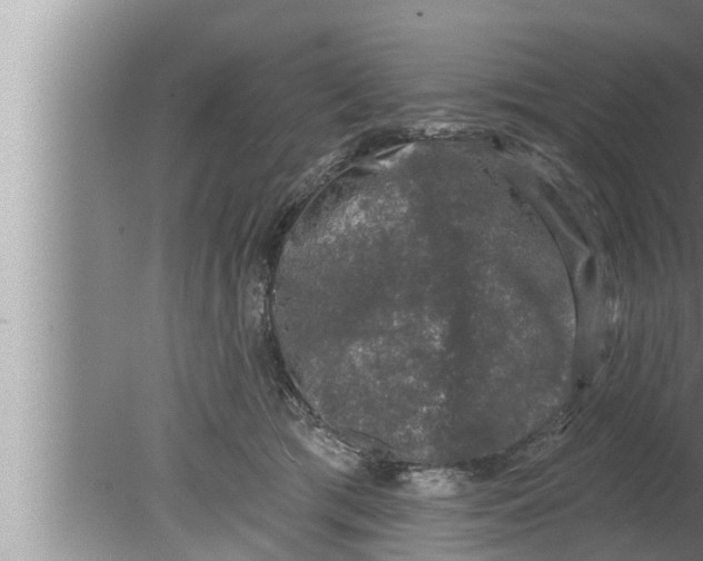 X0000080150417200612302133