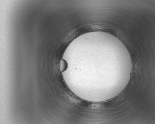 X0000080150418200612302133