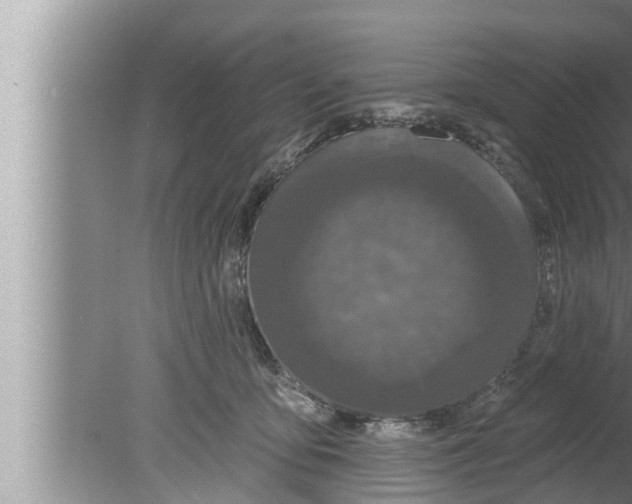 X0000080150419200612302132