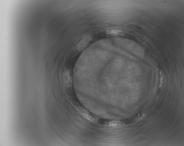 X0000080150420200612302132