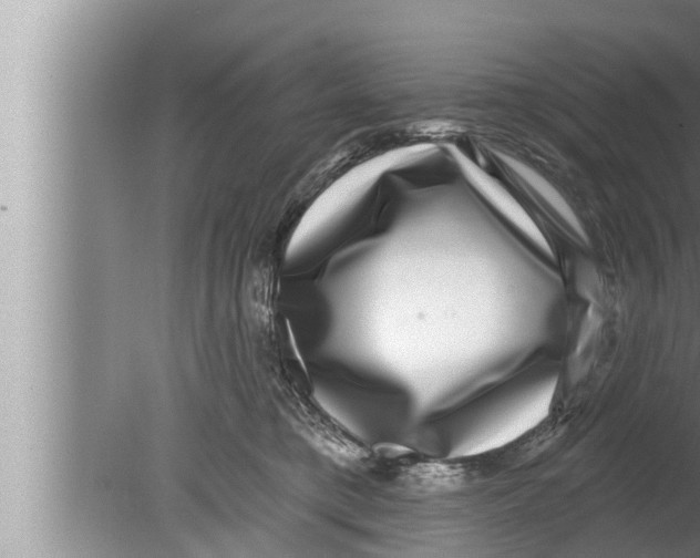 X0000080150421200612302132