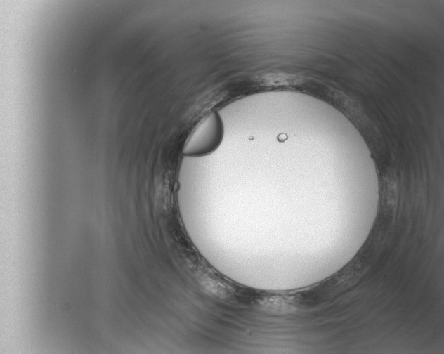 X0000080150422200612302132