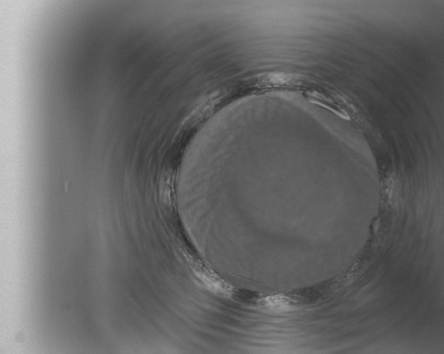 X0000080150423200612302132