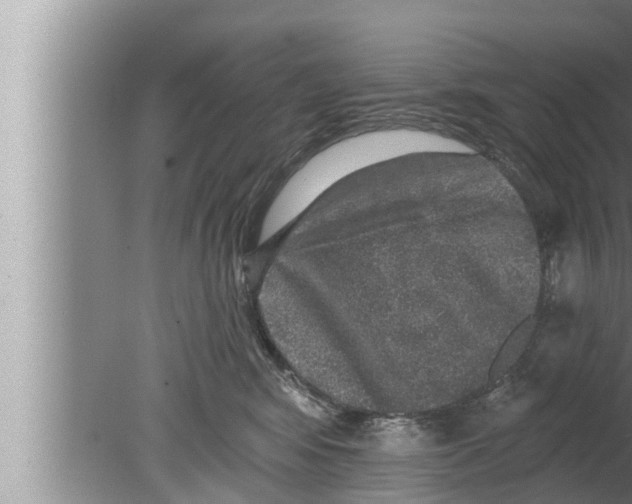 X0000080150424200612302132