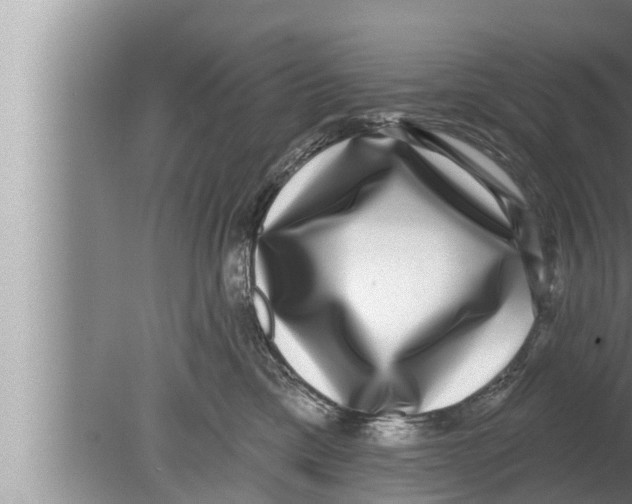 X0000080150425200612302132