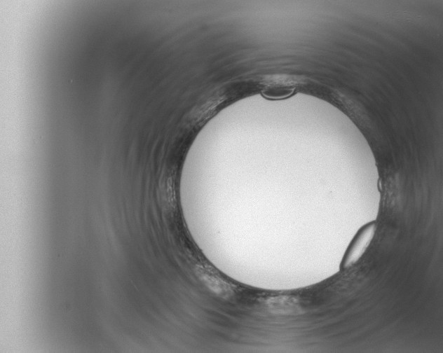 X0000080150426200612302132