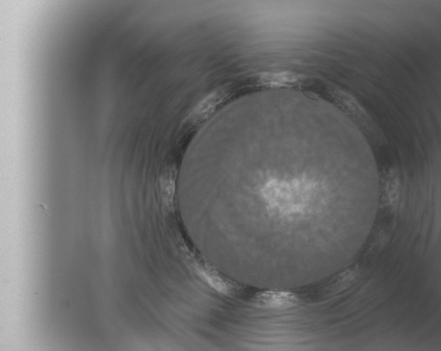 X0000080150427200612302132