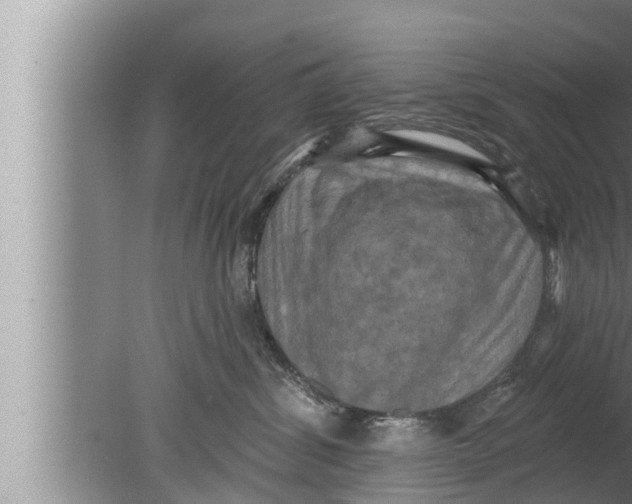 X0000080150428200612302132