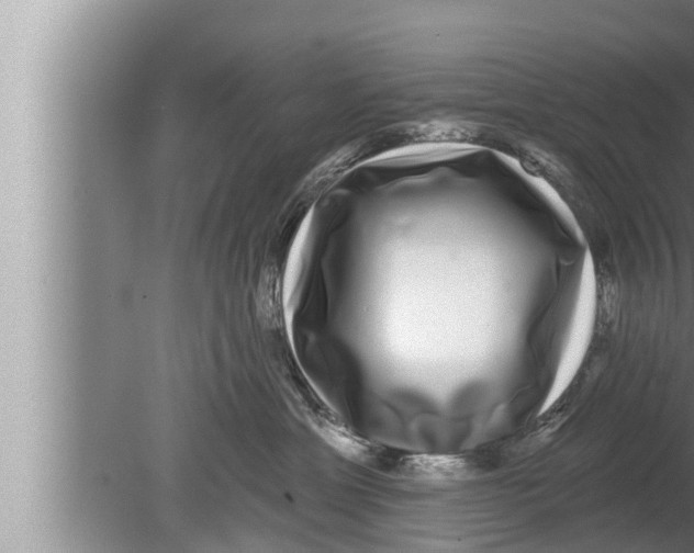 X0000080150429200612302132