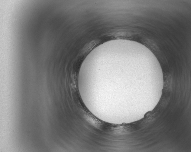 X0000080150430200612302132