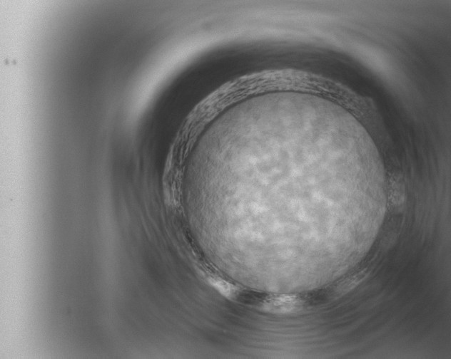 X0000080150431200612302132