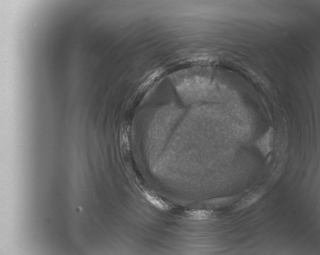 X0000080150432200612302132