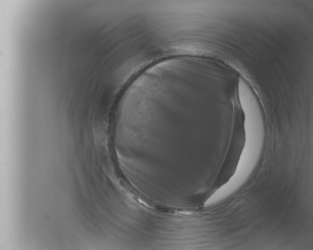 X0000080150434200612302131