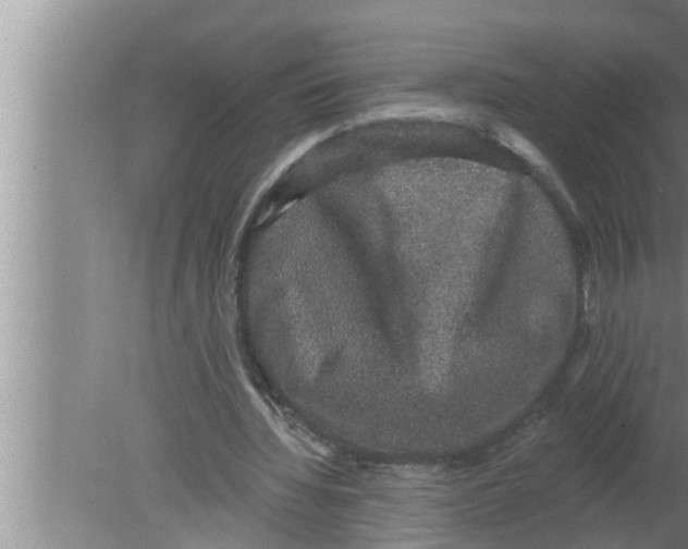 X0000080150436200612302132