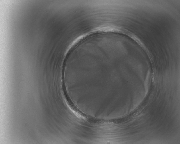 X0000080150438200612302132