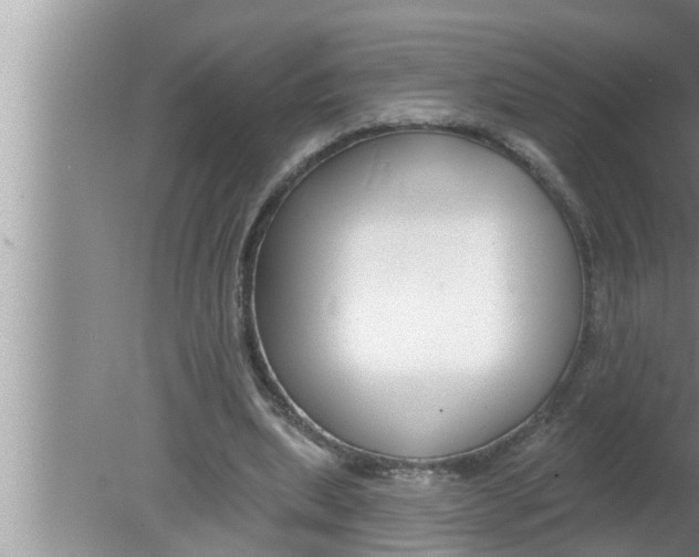 X0000080150439200612302132