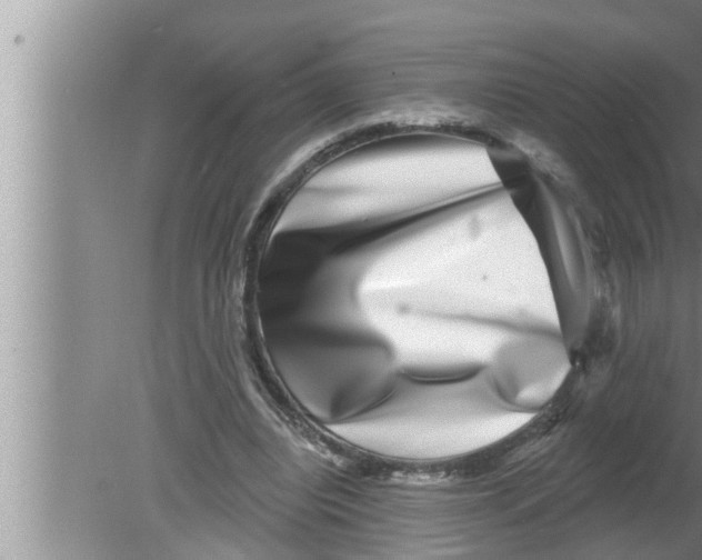 X0000080150440200612302132