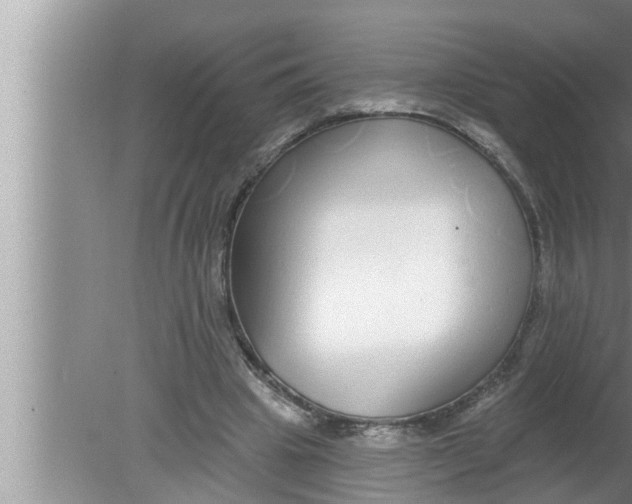 X0000080150441200612302132