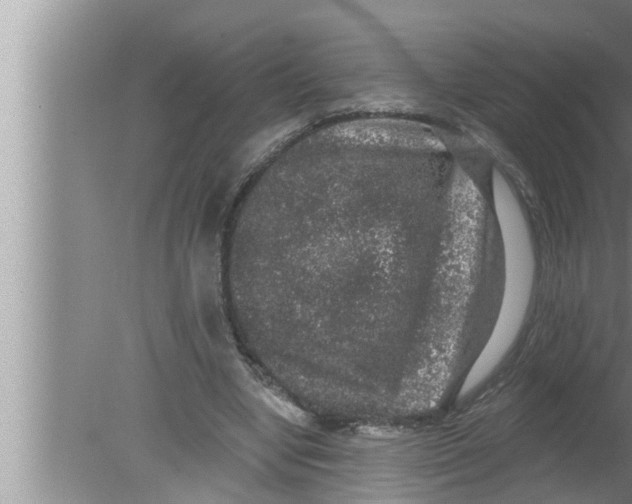 X0000080150442200612302132