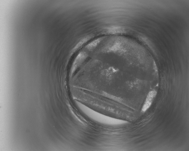 X0000080150443200612302132